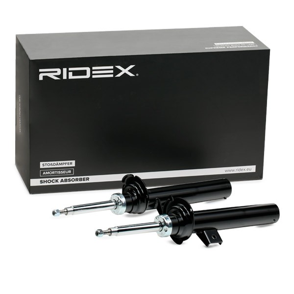 854S2584 Suspension dampers RIDEX 854S2584 review and test