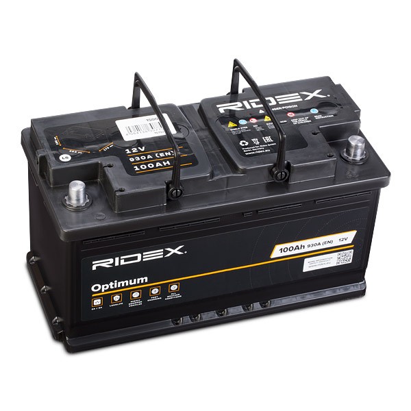 1S0018 RIDEX Batterie MERCEDES-BENZ ATEGO 2