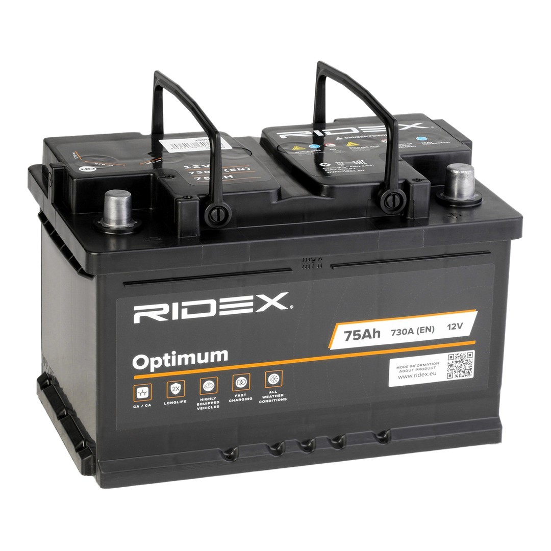 1S0039 Batterie RIDEX - Markenprodukte billig