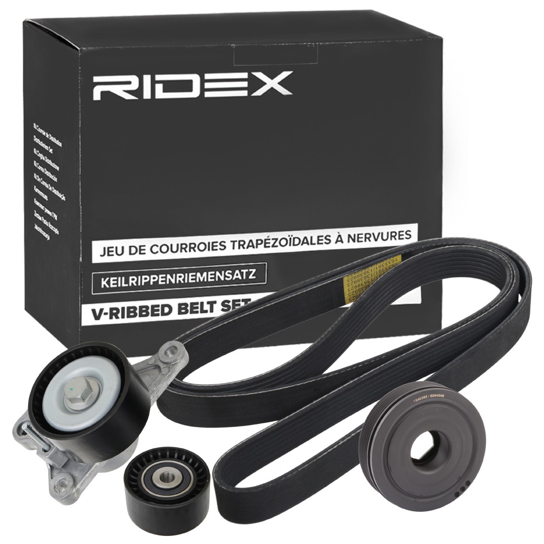 RIDEX 542R0548 V-ribbed belt kit NISSAN Qashqai / Qashqai+2 I (J10, NJ10) 2.0 dCi All-wheel Drive 150 hp Diesel 2011