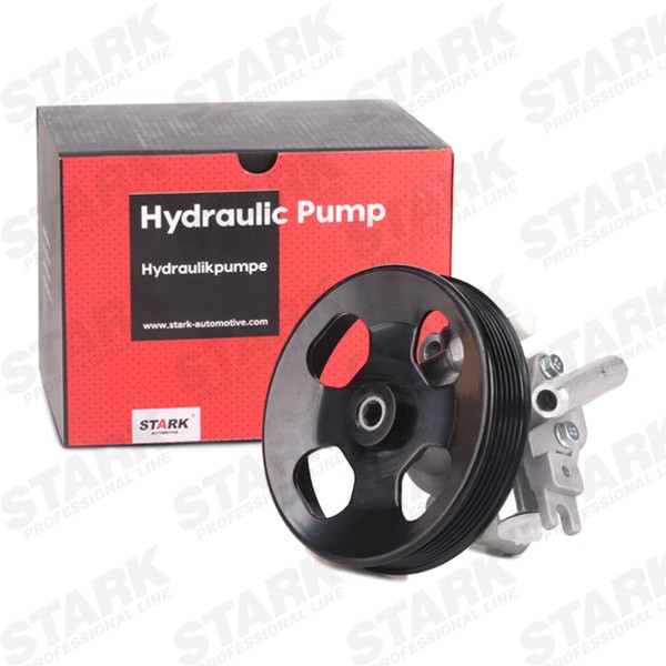 SKHP0540259 Hydraulic Pump, steering system STARK SKHP-0540259 review and test