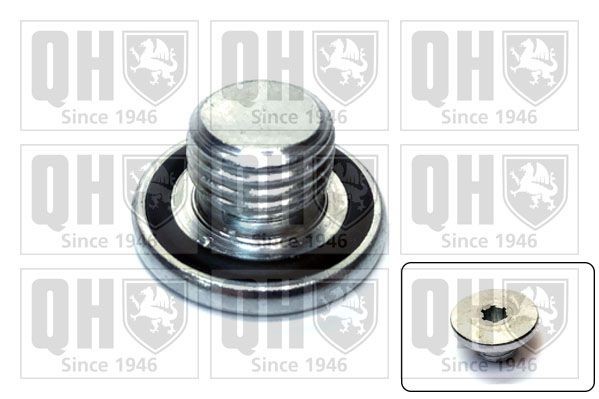 QUINTON HAZELL QOC1014 Seal, oil drain plug 90528145