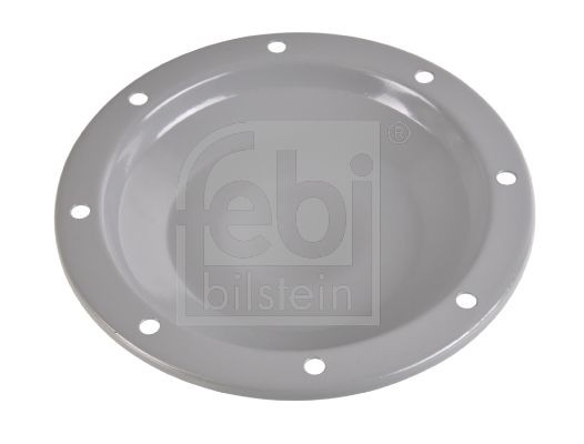 FEBI BILSTEIN Wheel hub dust cap 171252