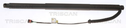 TRISCAN 871029304 Tailgate struts VW Tiguan Allspace (BW2) 2.0 TSI 4motion 220 hp Petrol 2023 price
