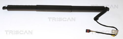 TRISCAN Tailgate strut 8710 29305 Volkswagen PASSAT 2020