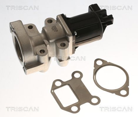 TRISCAN 881324018 EGR valve 97376663