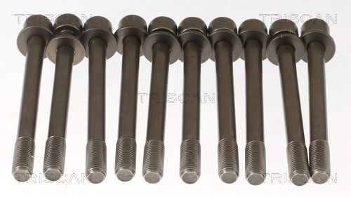 TRISCAN Quantity: 10 Length: 106,5mm, Thread Size: M10 Cylinder Head Bolt Kit 98-1016 buy