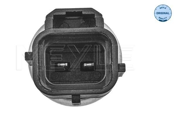 MEYLE 5148210002 Radiator temperature sensor with retaining spring, with seal ring