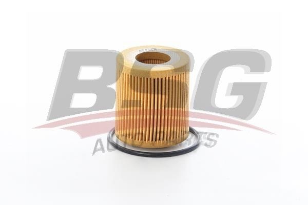 BSG BSG 65-140-021 Oil filter with gaskets/seals, Dry Filter