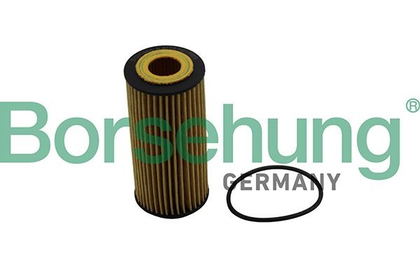 Borsehung B10511 Oil filter Filter Insert