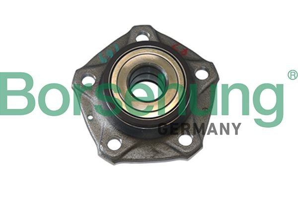 Wheel hub bearing kit Borsehung Rear - B11286