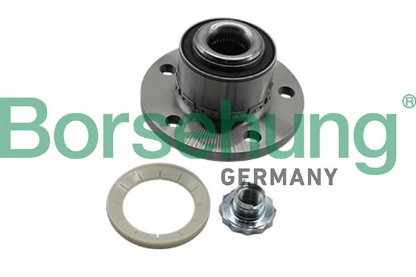 Wheel hub assembly Borsehung Front, with bolts - B19309