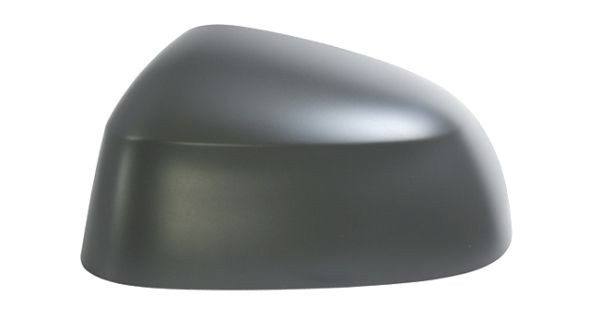 IPARLUX 41045301 Wing mirror BMW X4 2013 in original quality