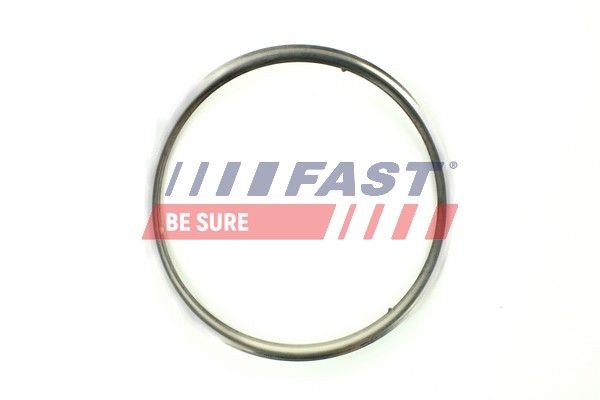 FAST FT84594 Exhaust pipe gasket PEUGEOT Boxer Platform / Chassis (250) 2.2 HDi 130 131 hp Diesel 2021 price