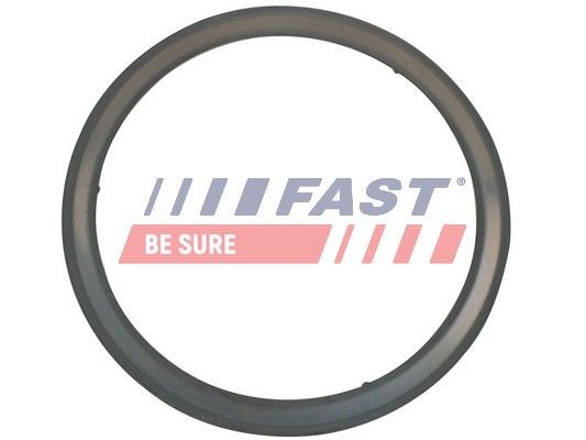 FAST FT84595 Exhaust pipe gasket PEUGEOT Boxer Platform / Chassis (250) 2.2 HDi 130 131 hp Diesel 2012 price