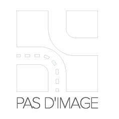 Pulseur d'Air Chauffage Peugeot 206 + SW CC 6448G4 d'Origine