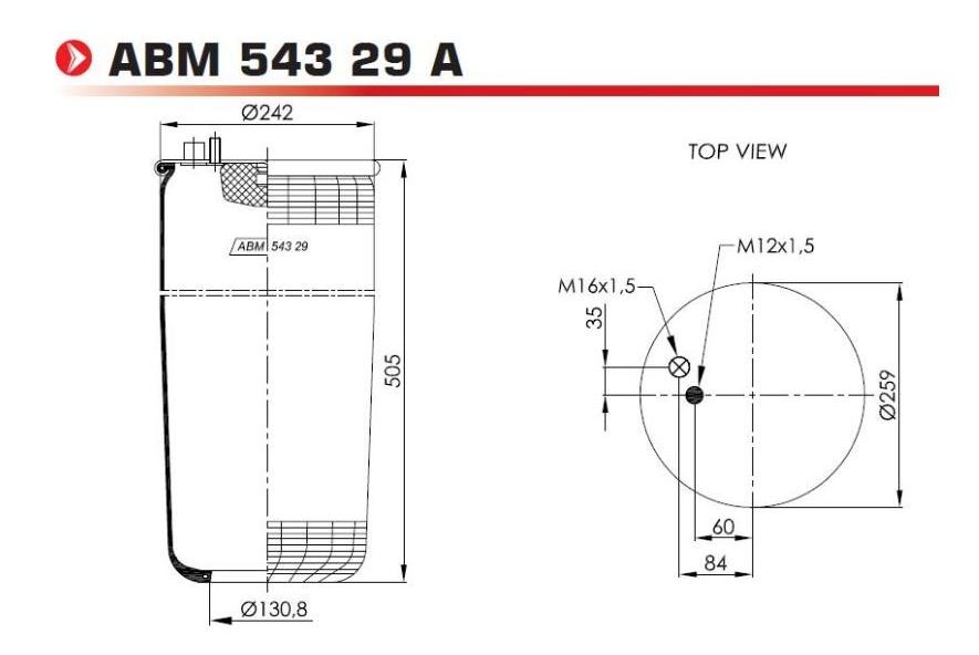 NEOTEC ABM54329A Boot, air suspension 81.43600.6038