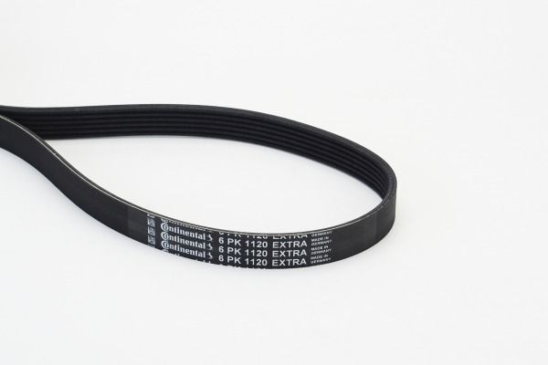 Audi Q5 V-ribbed belt 16172345 CONTITECH 6PK1120 EXTRA online buy