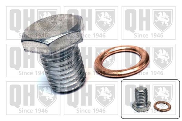 QOC1038 QUINTON HAZELL Drain plug NISSAN M12x1,5, Steel, with seal ring