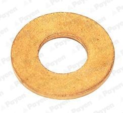 Seal Ring, nozzle holder PAYEN KG5078 - Nissan NV200 Oil seals spare parts order