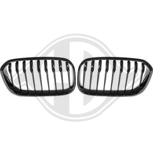 1281941 DIEDERICHS Front grille ROVER black, Glossy