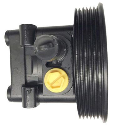 LIZARTE 04.88.0316-1 Power steering pump Hydraulic, Number of ribs: 6, Belt Pulley Ø: 125 mm