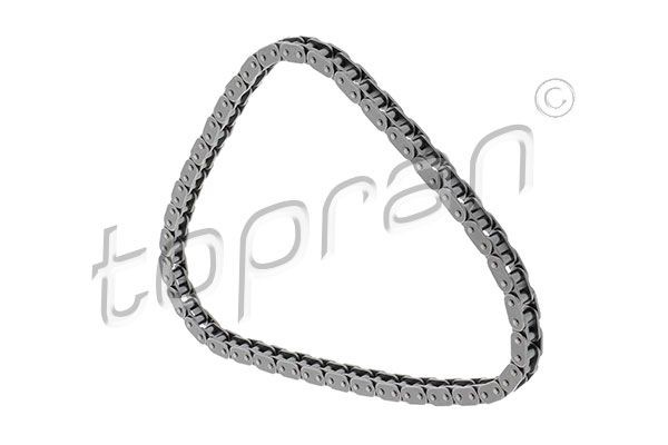 Great value for money - TOPRAN Timing Chain 117 861