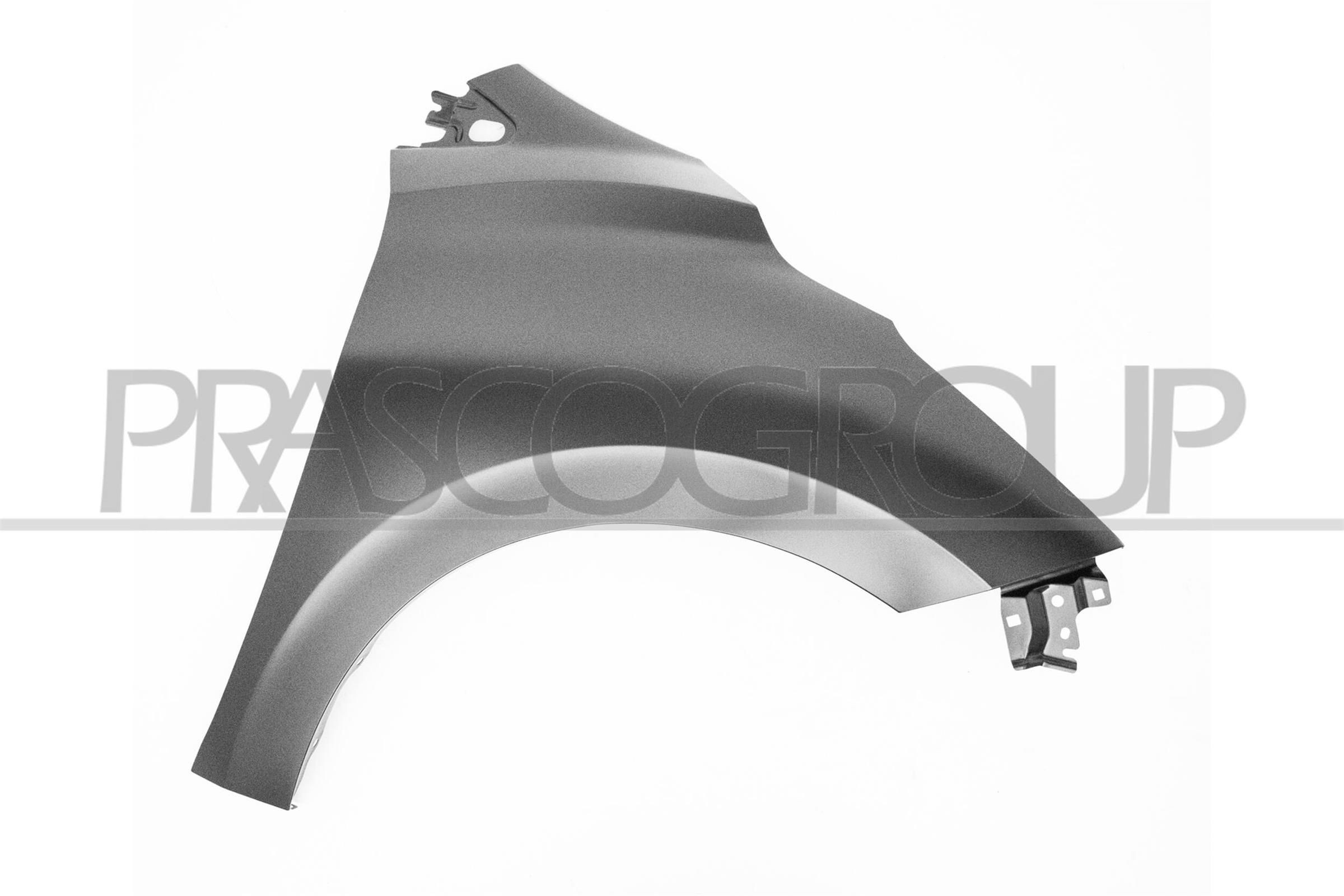 Nissan Wing fender PRASCO DS0163003 at a good price
