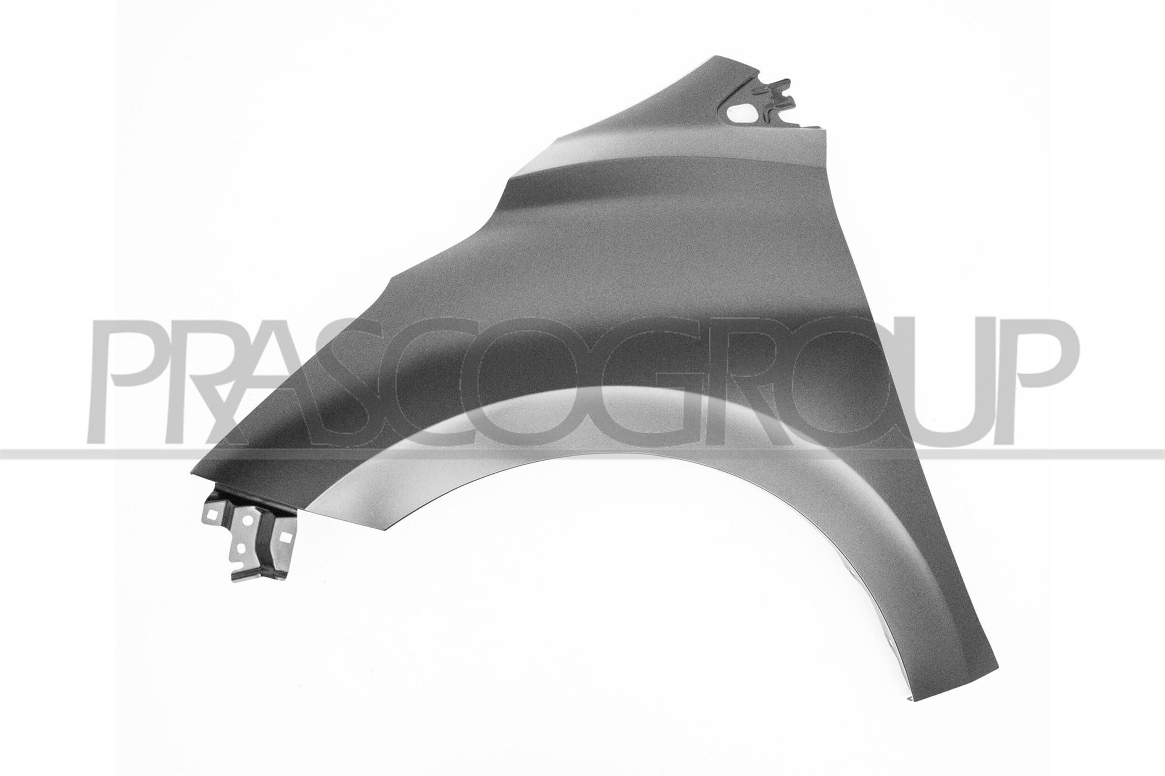 Nissan Wing fender PRASCO DS0163004 at a good price