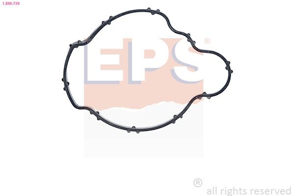 EPS Gasket, thermostat 1.890.739 BMW 1 Series 2022
