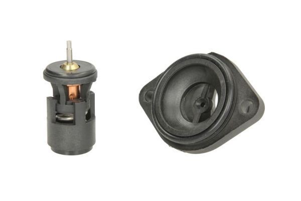 THERMOTEC D2W004TT Engine thermostat Opening Temperature: 87°C, with seal, Plastic, with housing