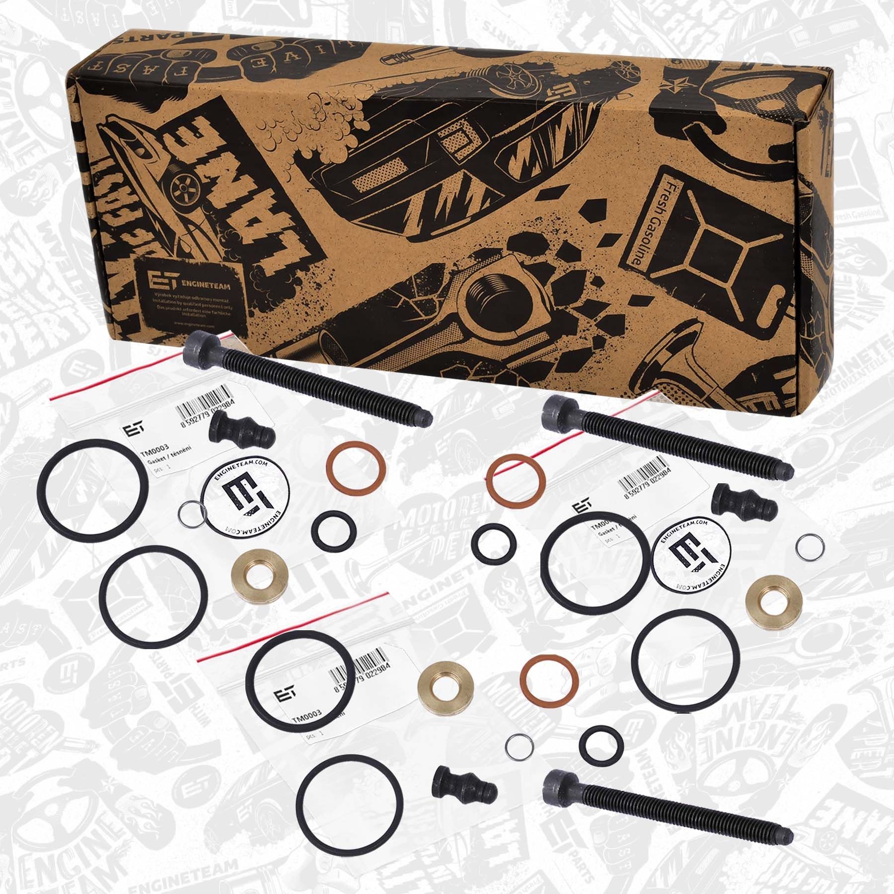 TM0029VR1 ET ENGINETEAM Injector seal ring buy cheap