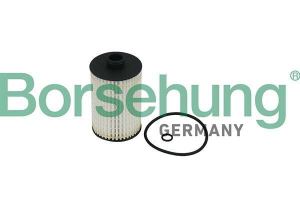 Borsehung Filter Insert Oil filters B10519 buy