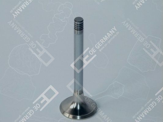 OE Germany 44mm, Chromed valve stem, Valve stem tip hardened Intake valve 05 0520 DC9003 buy