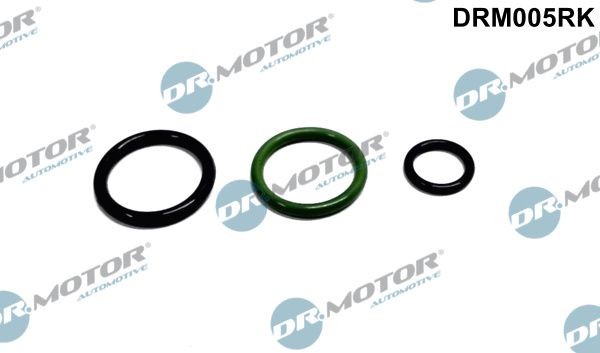 DR.MOTOR AUTOMOTIVE DRM005RK Repair kit, injection nozzle AUDI A6 2012 in original quality