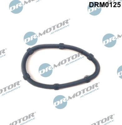 DR.MOTOR AUTOMOTIVE DRM0125 RENAULT SCÉNIC 2003 Exhaust collector gasket