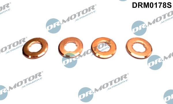 DR.MOTOR AUTOMOTIVE Seal Kit, injector nozzle DRM0178S buy