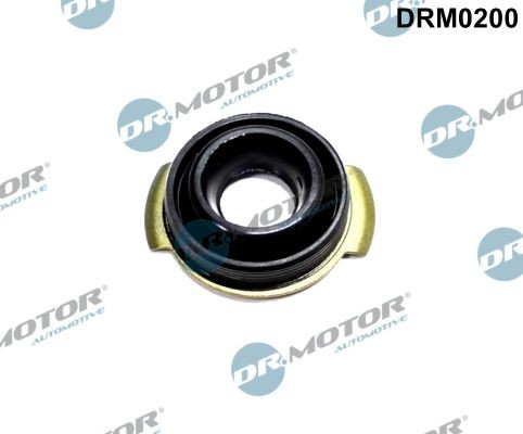 DR.MOTOR AUTOMOTIVE Seal Ring DRM0200 buy