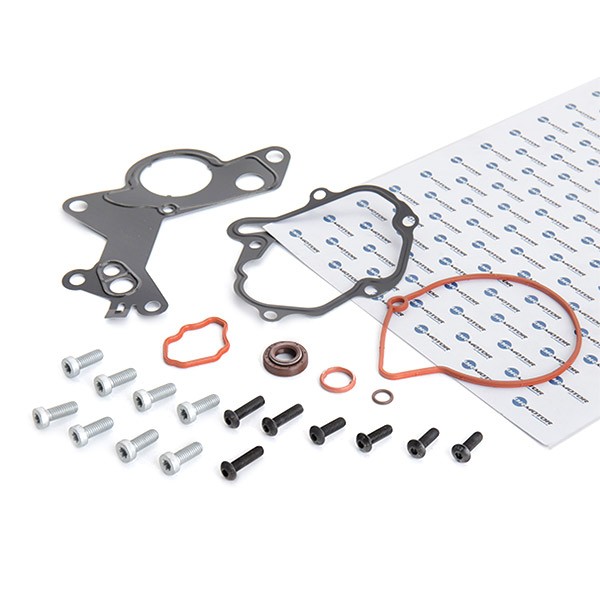 DRM0210 DR.MOTOR AUTOMOTIVE Repair Kit, vacuum pump (brake system) - buy online