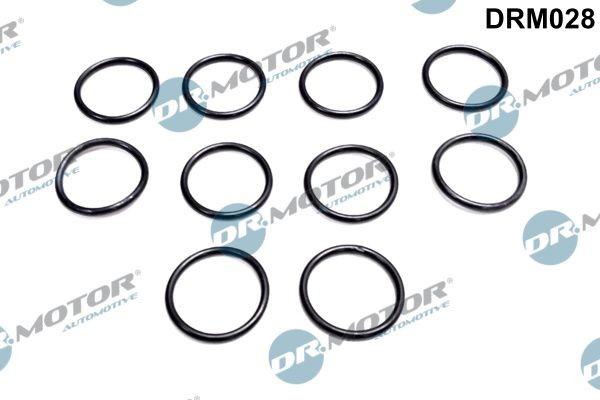 DRM028 Oil Plug Gasket DR.MOTOR AUTOMOTIVE DRM028 review and test