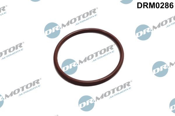 Jeep Gasket, fuel pump DR.MOTOR AUTOMOTIVE DRM0286 at a good price