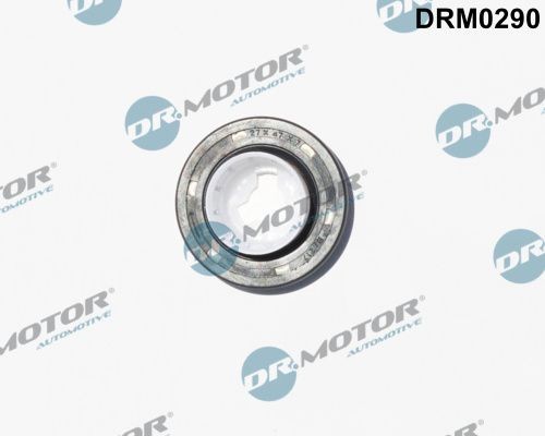 DR.MOTOR AUTOMOTIVE DRM0290 Camshaft seal FORD TAUNUS 1974 in original quality