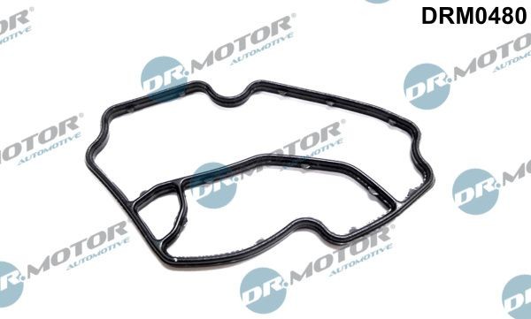 DR.MOTOR AUTOMOTIVE DRM0480 Oil filter gasket W164 ML 320 CDI 3.0 4-matic 224 hp Diesel 2008 price