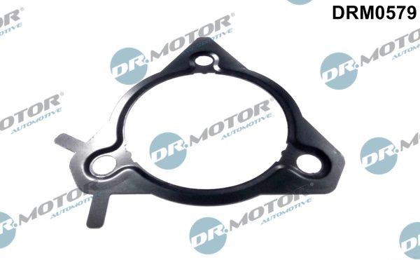 DR.MOTOR AUTOMOTIVE DRM0579 Seal, injection pump FORD FIESTA 2007 price