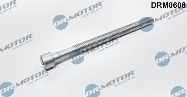 Volkswagen PASSAT Screw, injection nozzle holder DR.MOTOR AUTOMOTIVE DRM0608 cheap