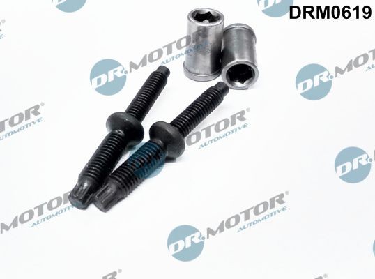 DR.MOTOR AUTOMOTIVE DRM0619 Seal Kit, injector nozzle