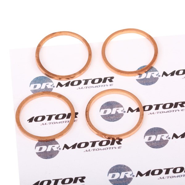 Citroën Heat Shield, injection system DR.MOTOR AUTOMOTIVE DRM063S at a good price
