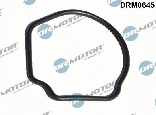 DR.MOTOR AUTOMOTIVE DRM0645 Thermostat gasket FIAT PUNTO 2008 in original quality