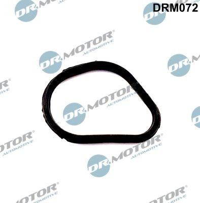 DR.MOTOR AUTOMOTIVE Thermostat housing gasket DRM072 Ford FIESTA 2000