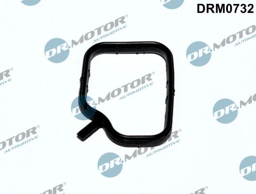 DR.MOTOR AUTOMOTIVE Seal, coolant pipe DRM0732 buy